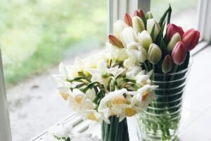 Protecting Your Home This Spring: Arkansas Spring Home Maintenance